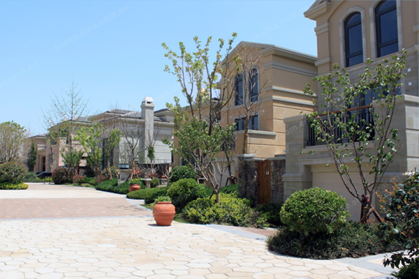 驪山國際 驪山國際