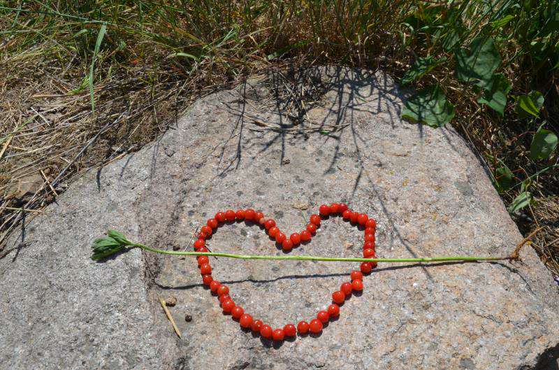 沃富新能源---沃富大聲的對沃富家人說:愛你們! 沃富新能源---沃富大聲的對沃富家人說:愛你們!