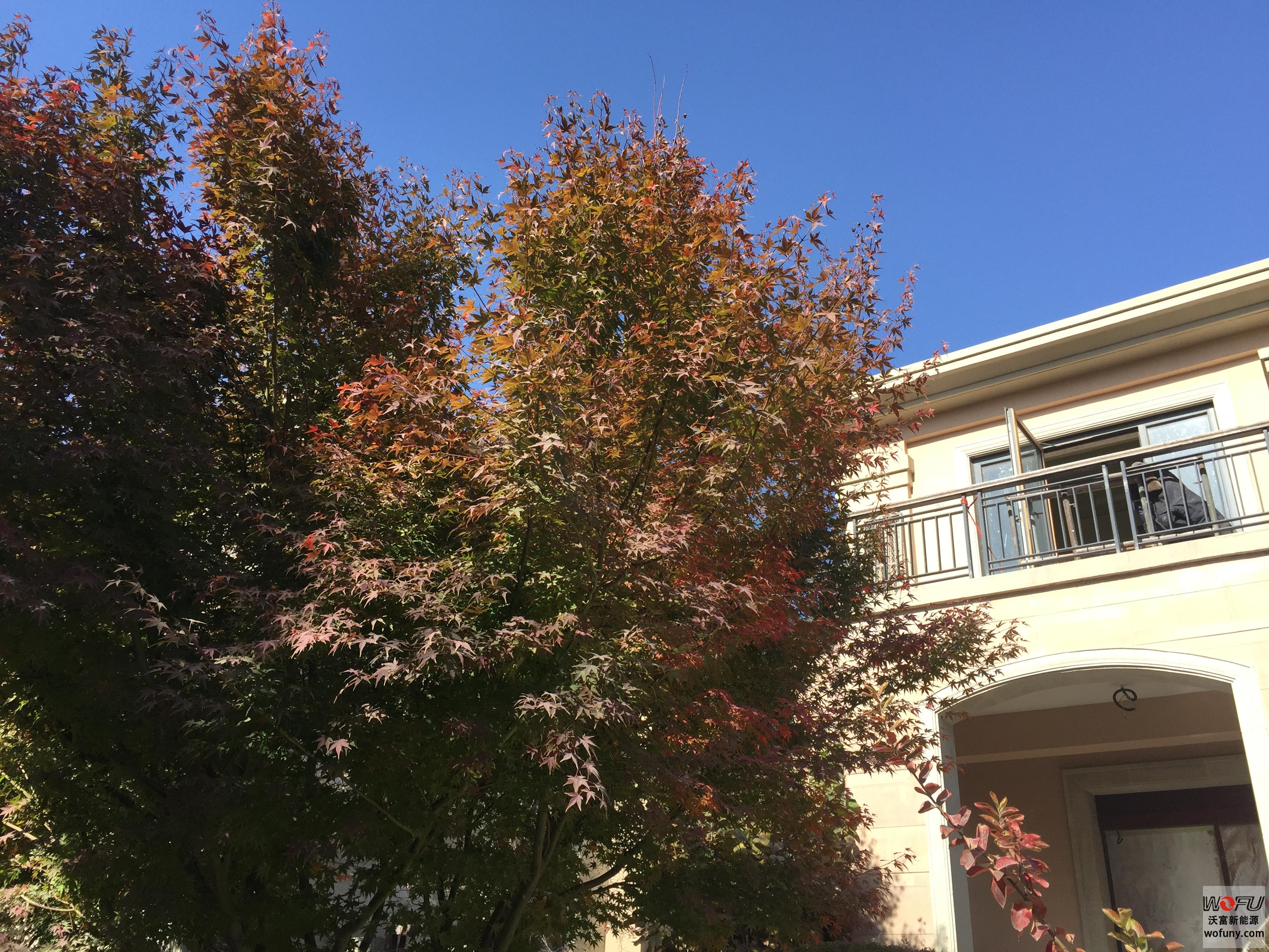 麗山國際別墅地源熱泵 麗山國際別墅地源熱泵